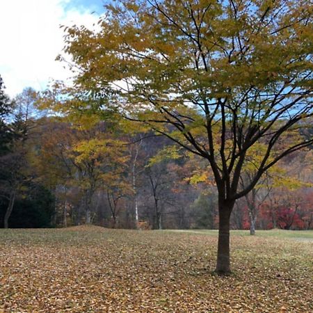 Polar Haus Minamikaruisawa1 - Vacation Stay 88000V Karuizawa Eksteriør billede