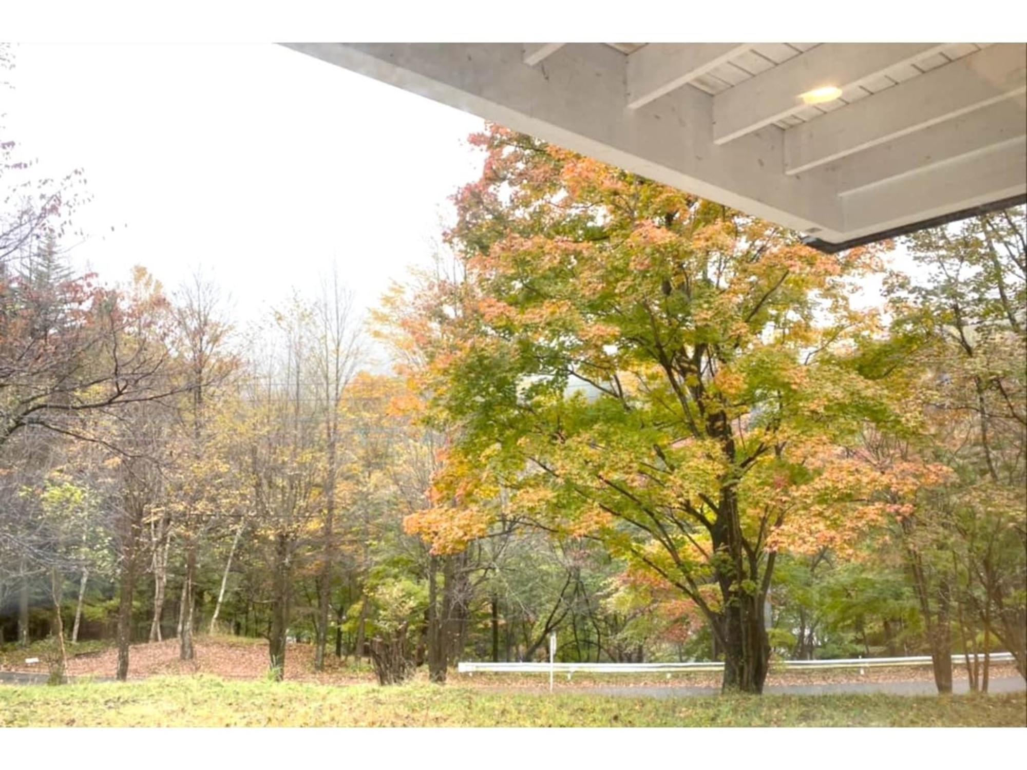 Polar Haus Minamikaruisawa1 - Vacation Stay 88000V Karuizawa Eksteriør billede
